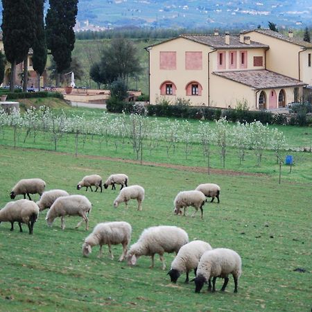 Agriturismo Fattoria Rozzalupi سيريتو غيدي المظهر الخارجي الصورة