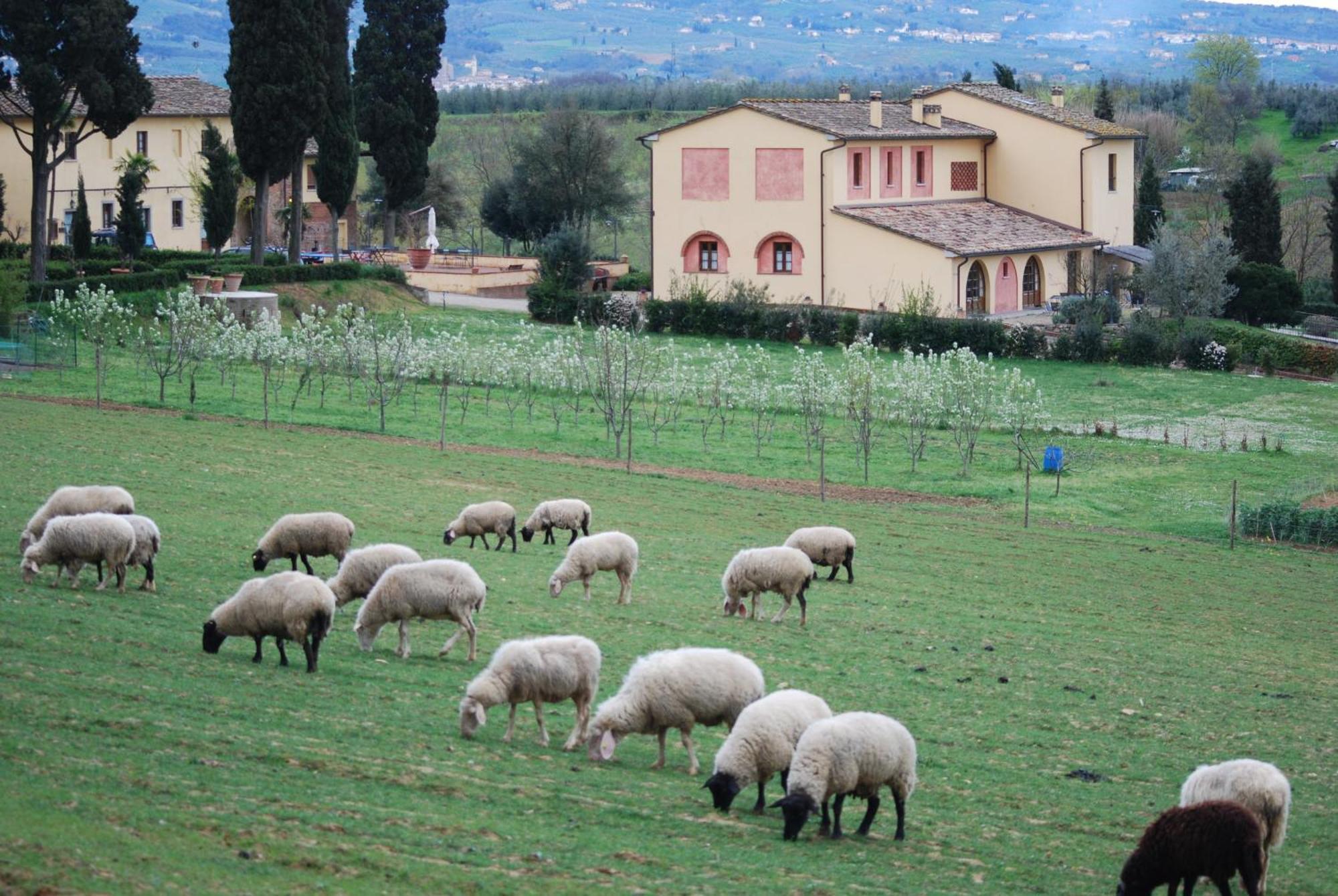 Agriturismo Fattoria Rozzalupi سيريتو غيدي المظهر الخارجي الصورة