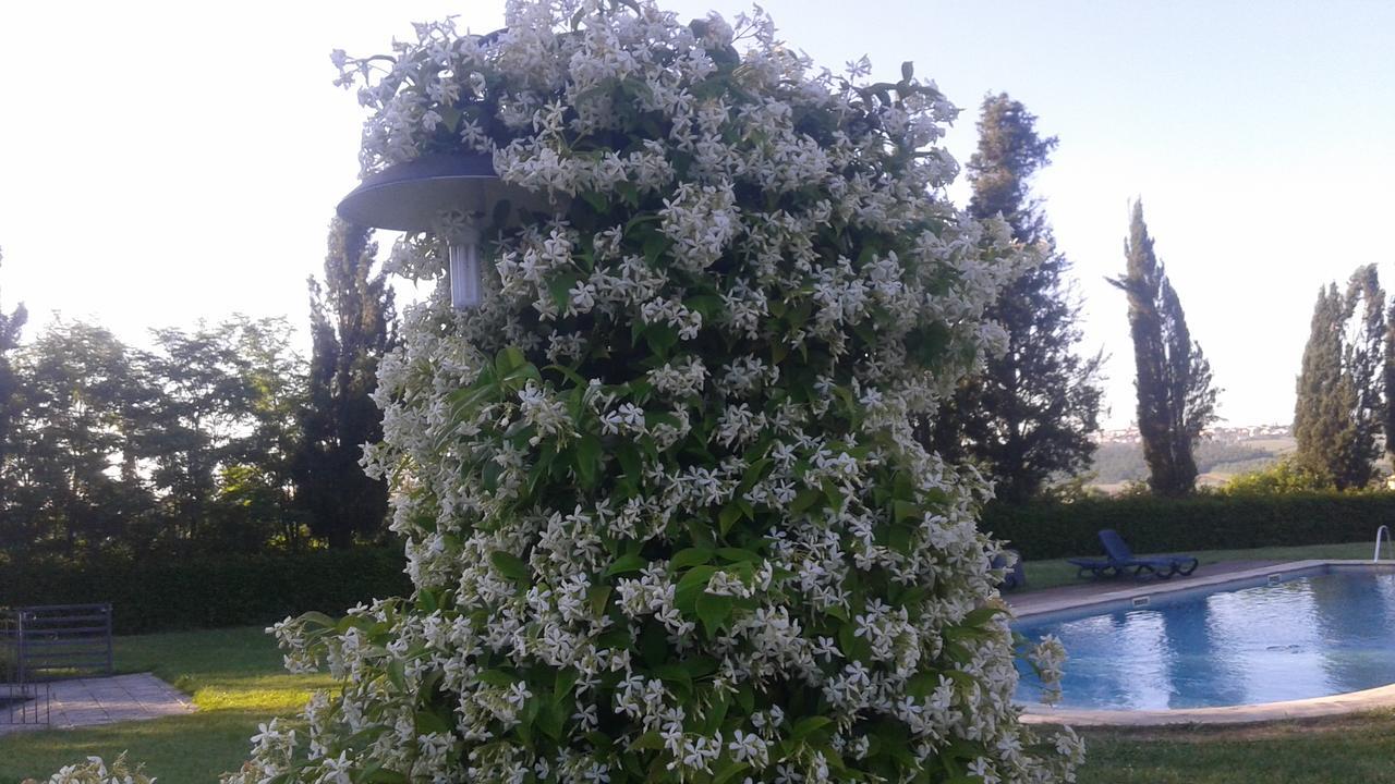 Agriturismo Fattoria Rozzalupi سيريتو غيدي المظهر الخارجي الصورة
