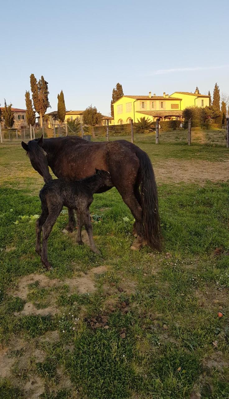 Agriturismo Fattoria Rozzalupi سيريتو غيدي المظهر الخارجي الصورة